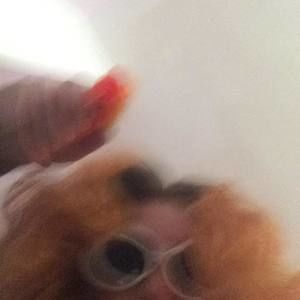 Meet your Posher, Fallon